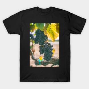 Grapes T-Shirt